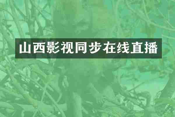 山西影视同步在线直播