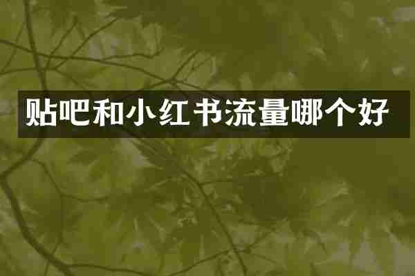 贴吧和小红书流量哪个好