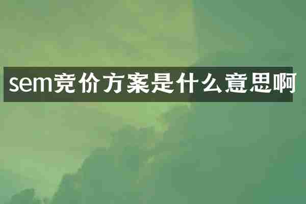 sem竞价方案是什么意思啊
