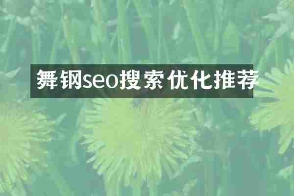 舞钢seo搜索优化推荐