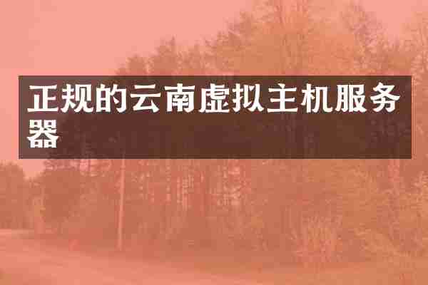 正规的云南虚拟主机服务器