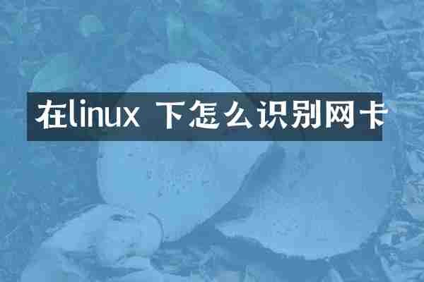 在linux 下怎么识别网卡