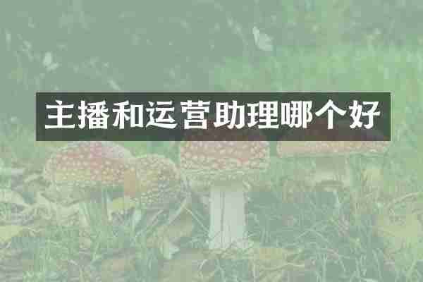 主播和运营助理哪个好