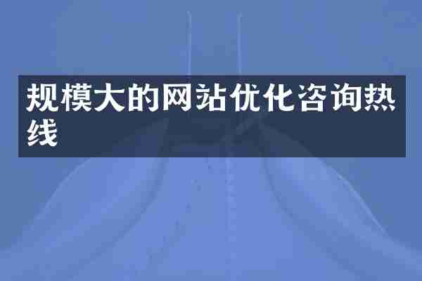 规模大的网站优化咨询热线