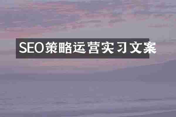 SEO策略运营实习文案