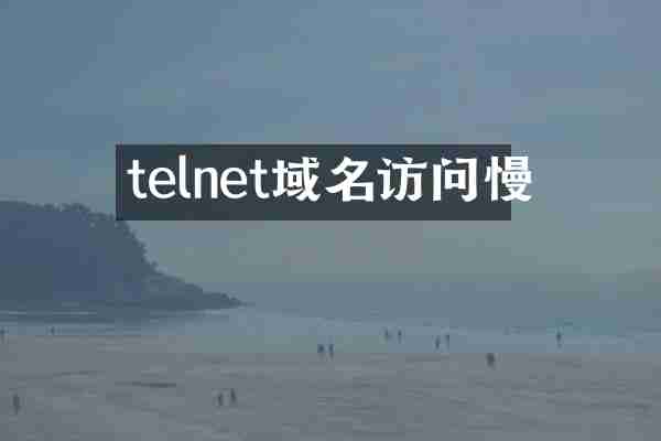 telnet域名访问慢