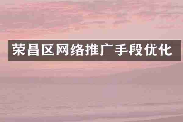 荣昌区网络推广手段优化