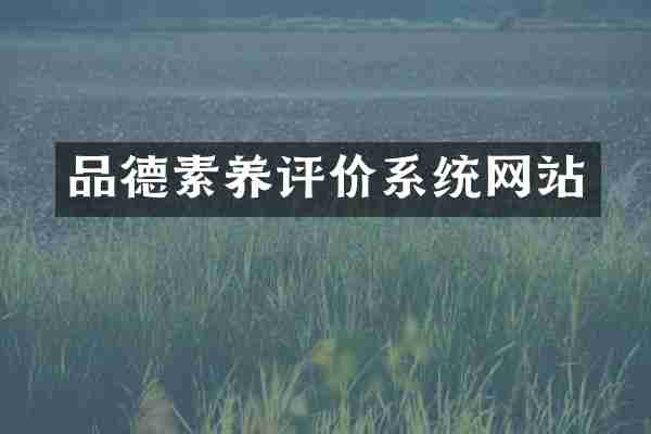 品德素养评价系统网站