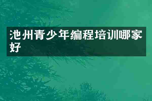 池州青少年编程培训哪家好