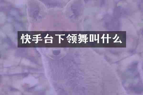 快手台下领舞叫什么