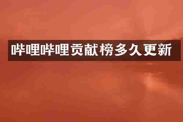 哔哩哔哩贡献榜多久更新