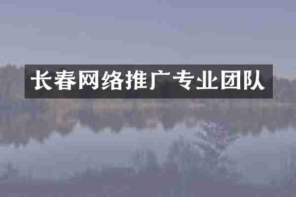 长春网络推广专业团队