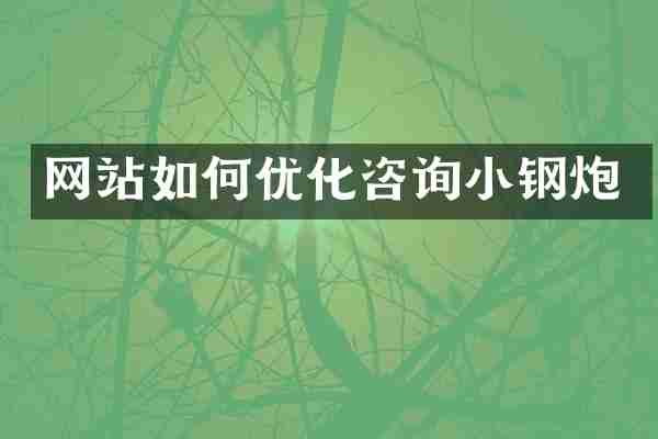 网站如何优化咨询小钢炮