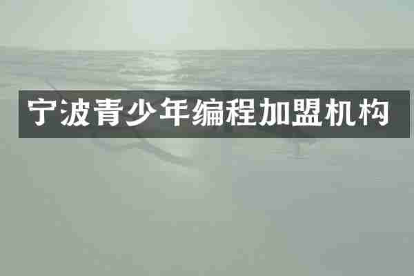宁波青少年编程加盟机构