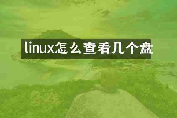 linux怎么查看几个盘