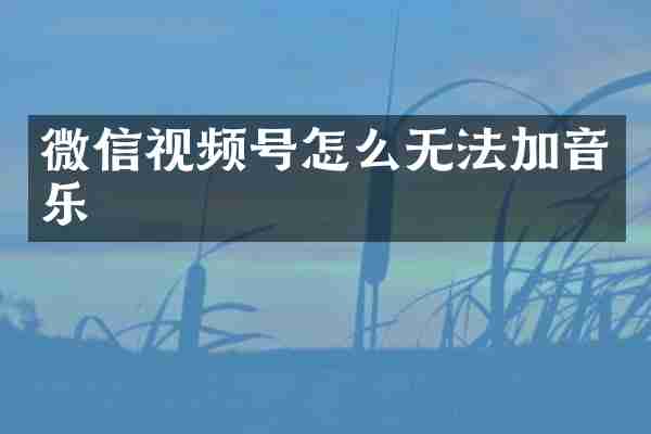微信视频号怎么无法加音乐