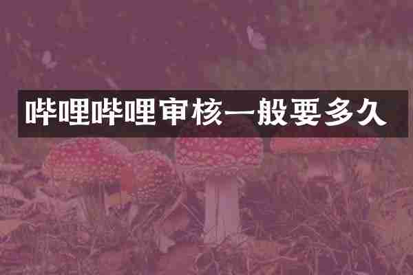 哔哩哔哩审核一般要多久