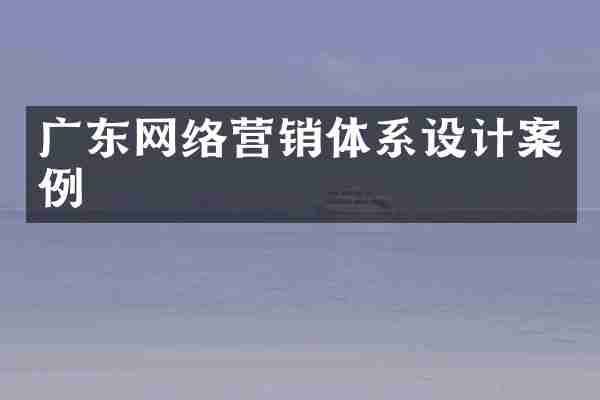广东网络营销体系设计案例