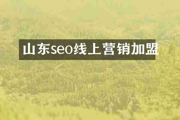 山东seo线上营销加盟
