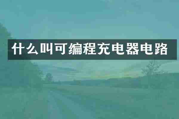 什么叫可编程充电器电路