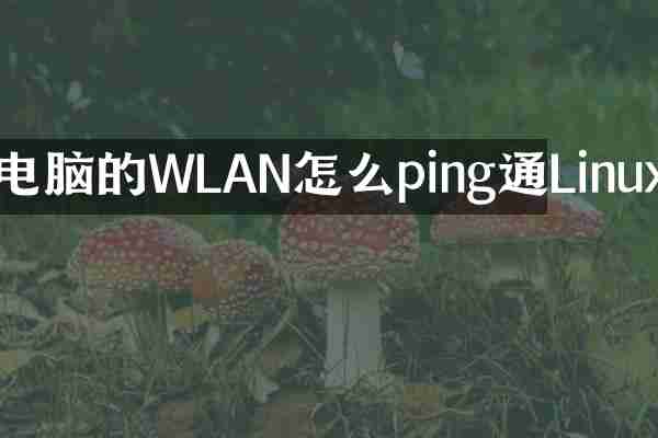 电脑的WLAN怎么ping通Linux