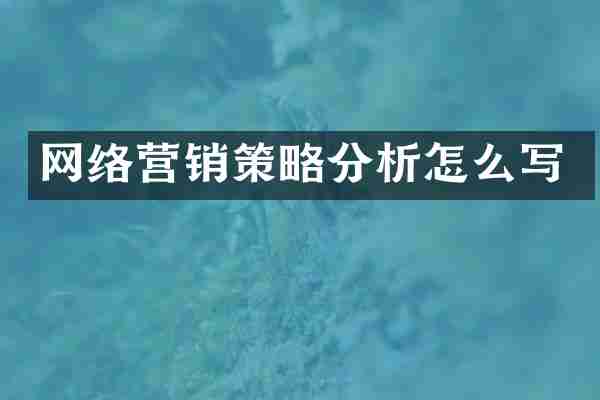 网络营销策略分析怎么写