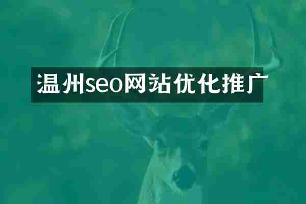 温州seo网站优化推广