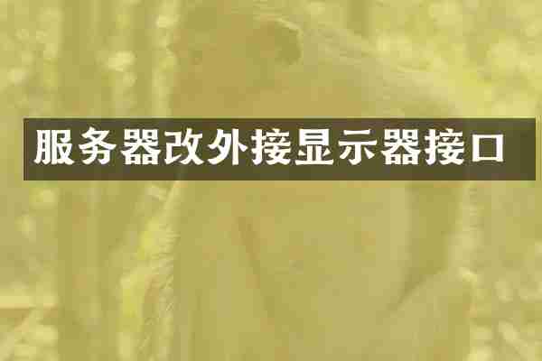 服务器改外接显示器接口