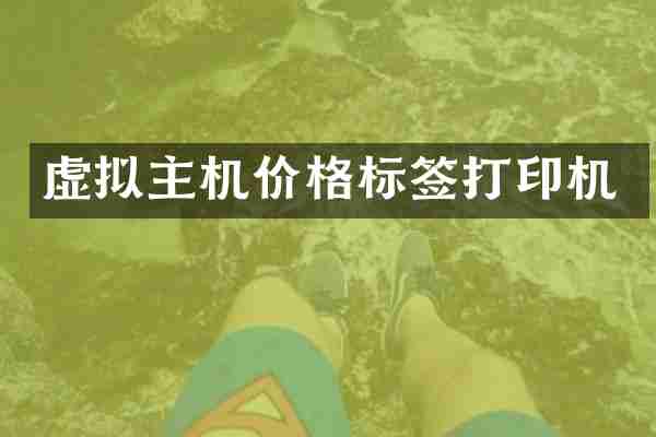 虚拟主机价格标签打印机