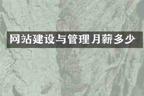 网站建设与管理月薪多少