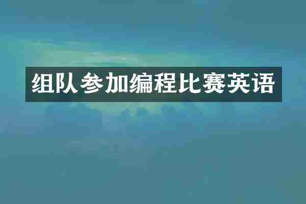 组队参加编程比赛英语