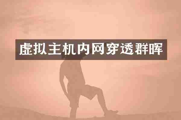 虚拟主机内网穿透群晖