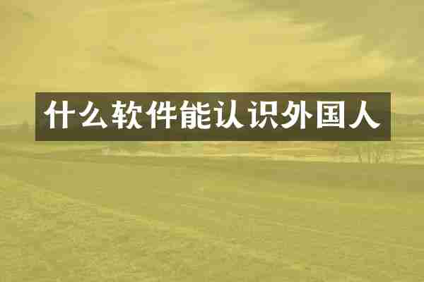 什么软件能认识外国人