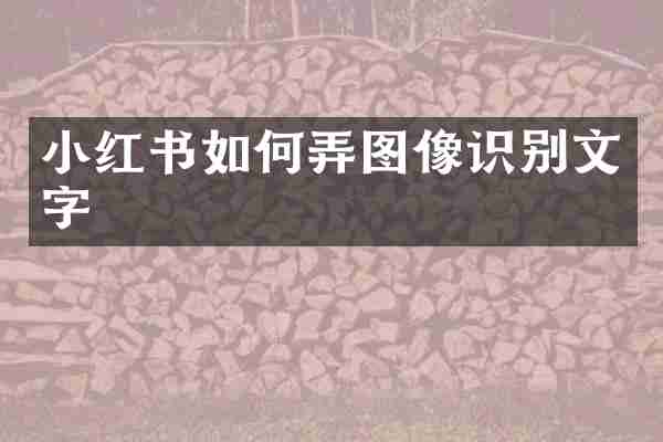 小红书如何弄图像识别文字