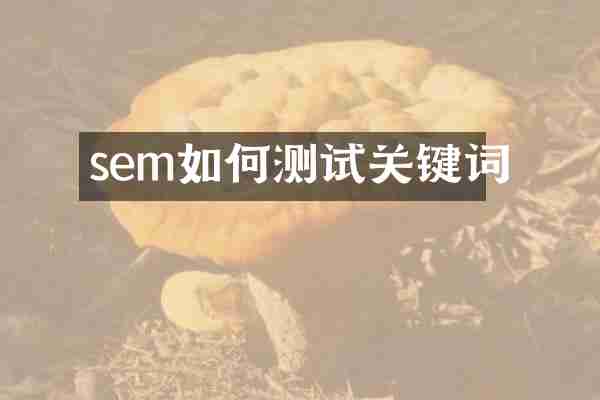 sem如何测试关键词