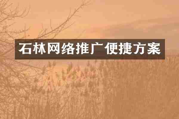 石林网络推广便捷方案