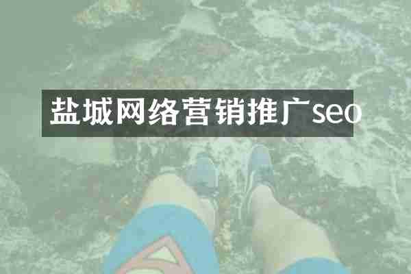 盐城网络营销推广seo