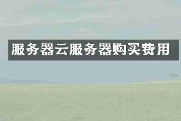 服务器云服务器购买费用