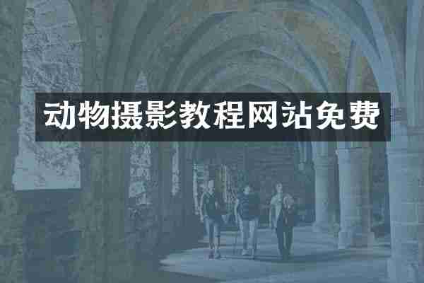 动物摄影教程网站免费