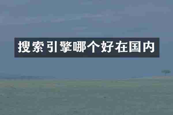 搜索引擎哪个好在国内
