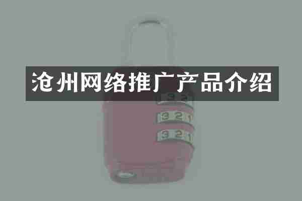 沧州网络推广产品介绍