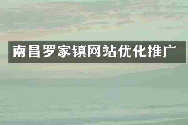 南昌罗家镇网站优化推广