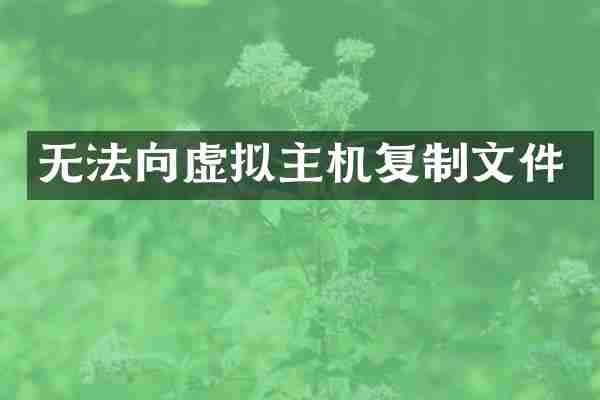 无法向虚拟主机复制文件