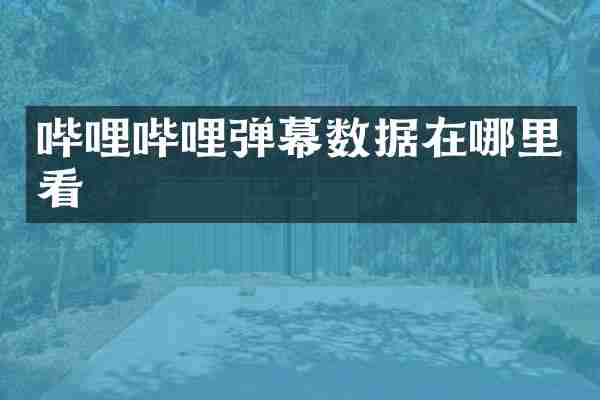 哔哩哔哩弹幕数据在哪里看