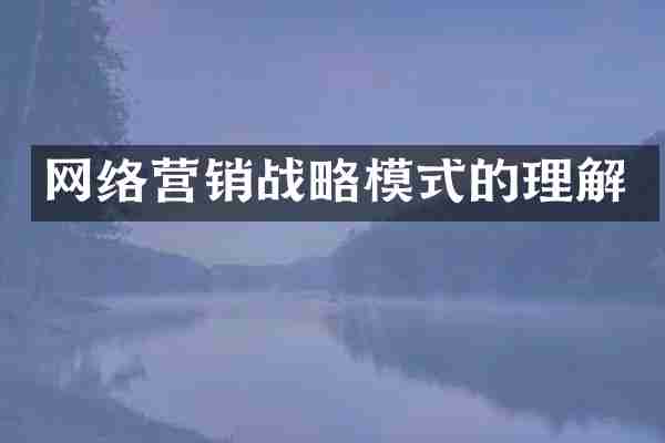 网络营销战略模式的理解