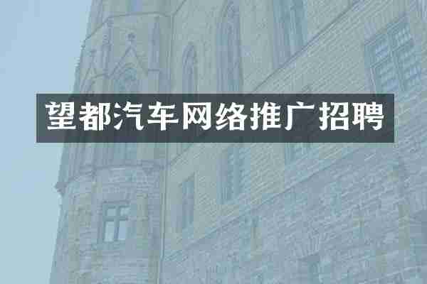望都汽车网络推广招聘