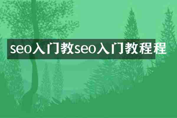 seo入门教seo入门教程程