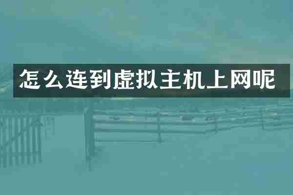 怎么连到虚拟主机上网呢