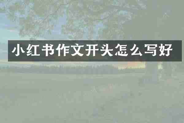 小红书作文开头怎么写好