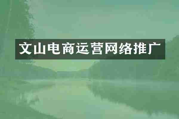 文山电商运营网络推广